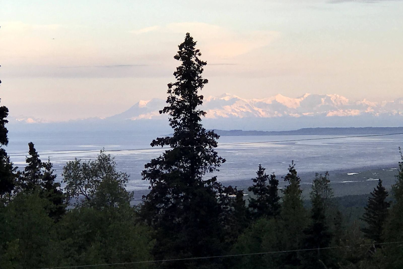 Snow-capped Alaska Range across Cook Inlet, framed by spruce trees, seen from the house