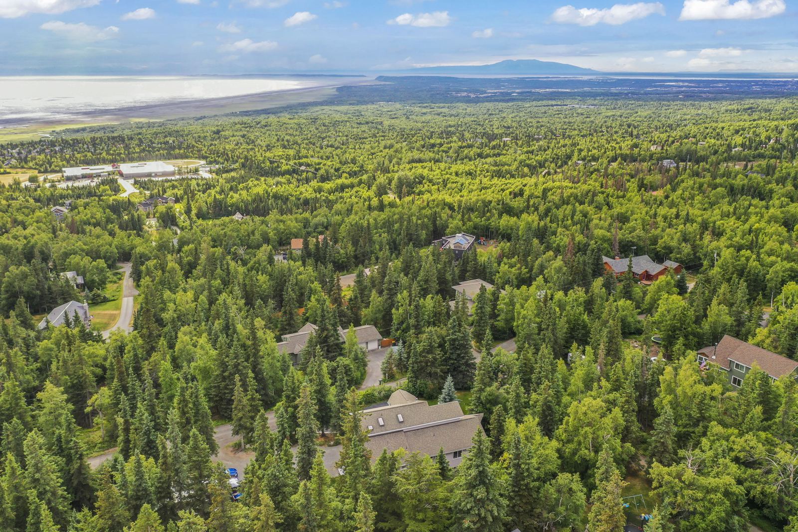 Drone view west from above the Hillside over spruce forest to Cook Inlet and Mount Susitna