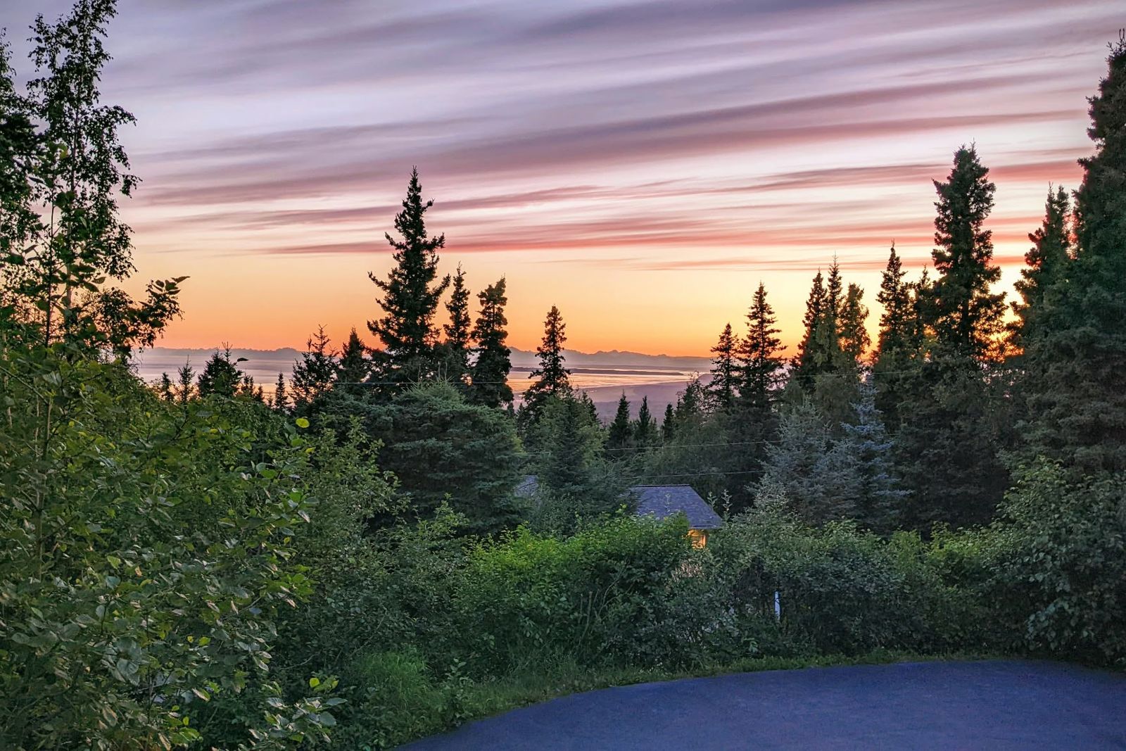 Pink and orange sunset over Cook Inlet beyond the spruce trees, seen from the house