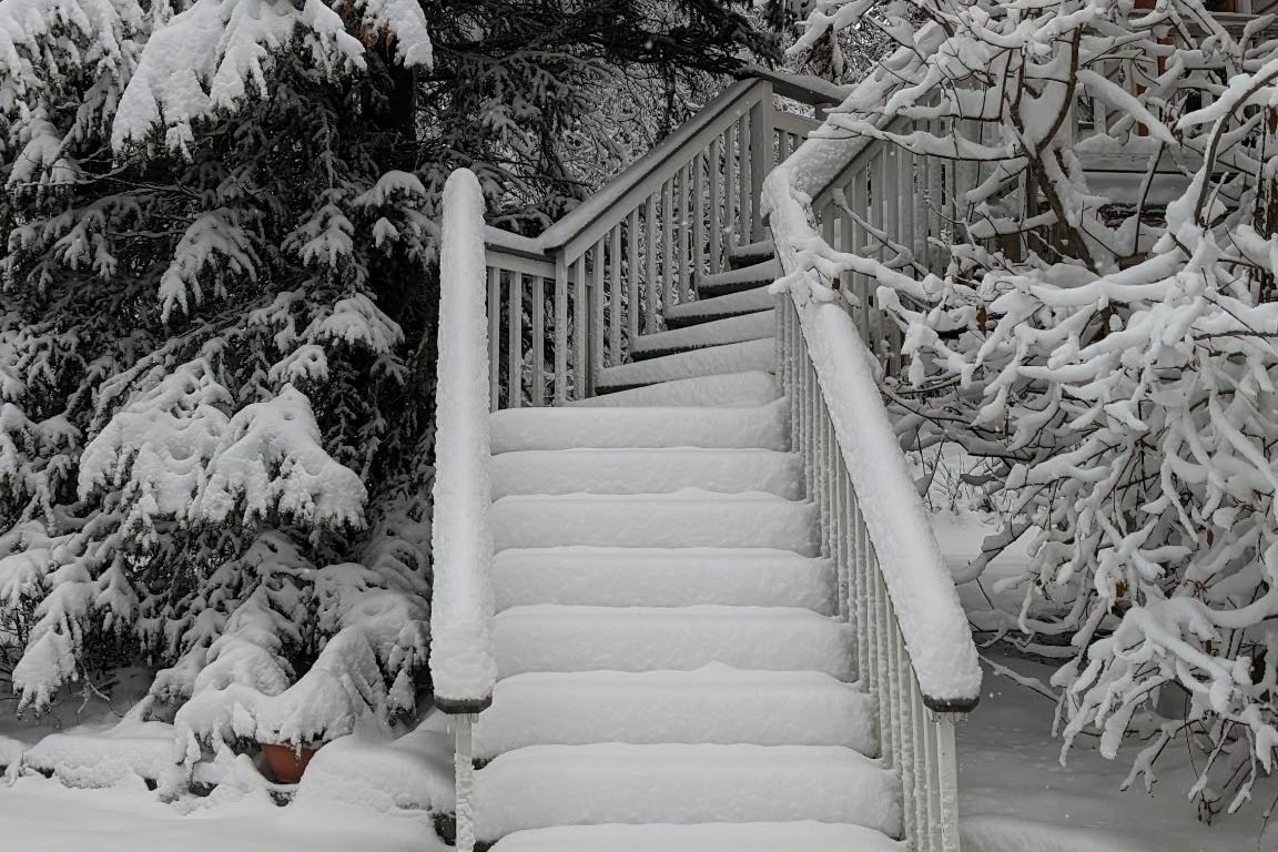 Fresh snow on the front steps and spruce trees at Hillside Haven